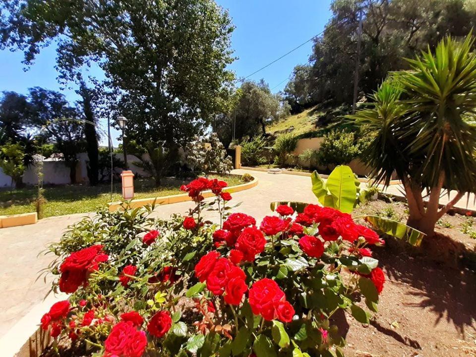 Villa Silvia Agios Matthaios  Экстерьер фото